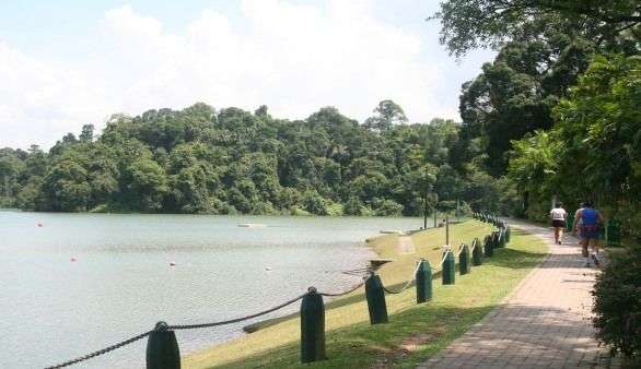 MacRitchie – Lower and Upper Peirce Reservoirs