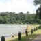 MacRitchie – Lower and Upper Peirce Reservoirs